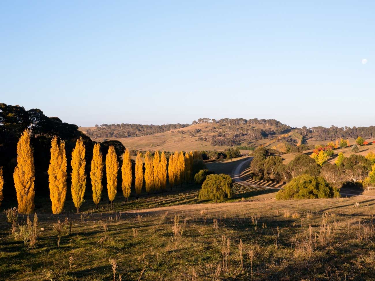 Armidale views