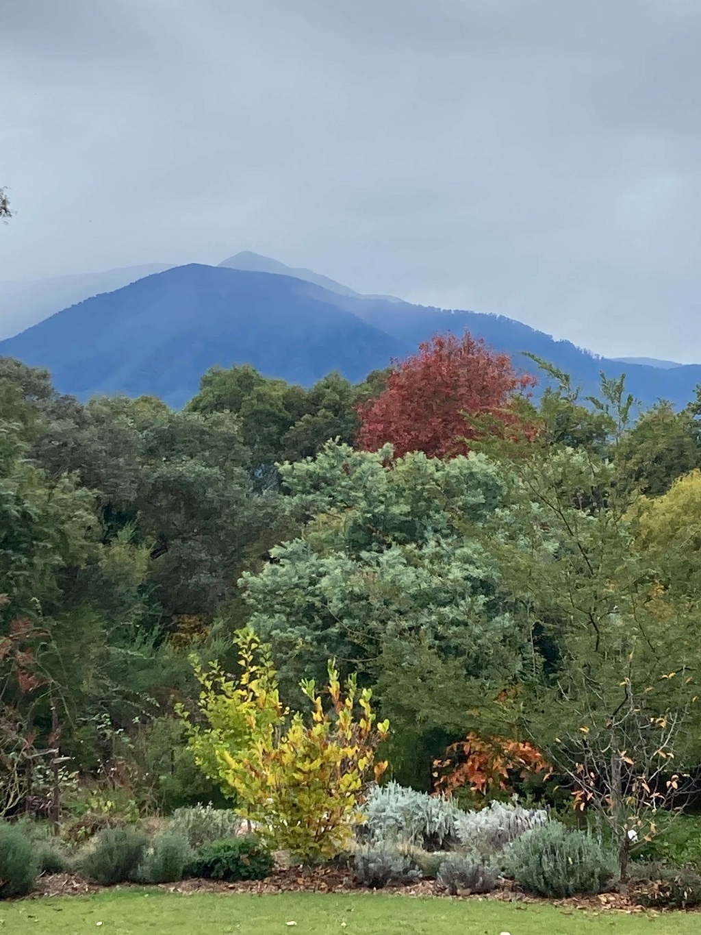May 2022, Mt Bogong in rain (1)