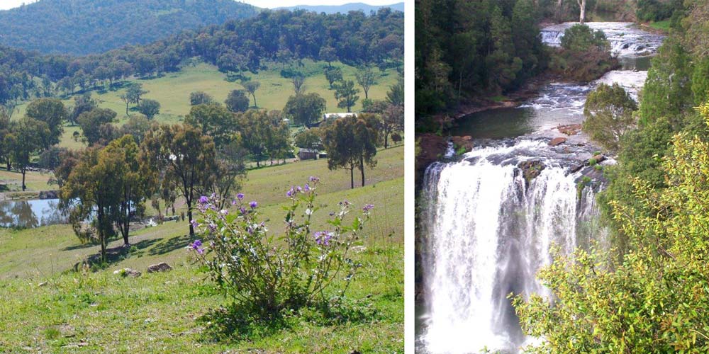 Double nature photos