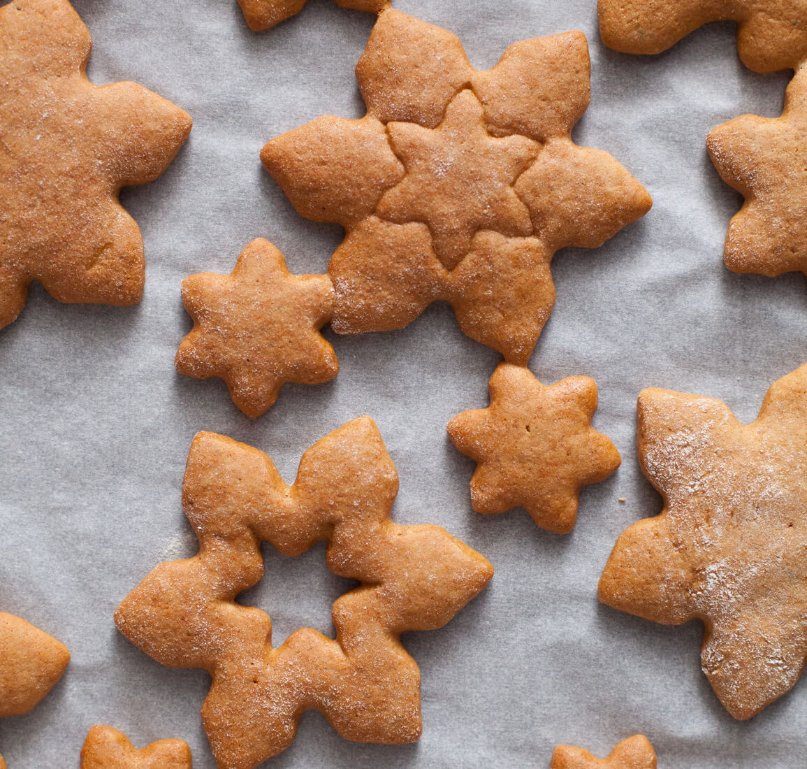 christmas cookies invest blue