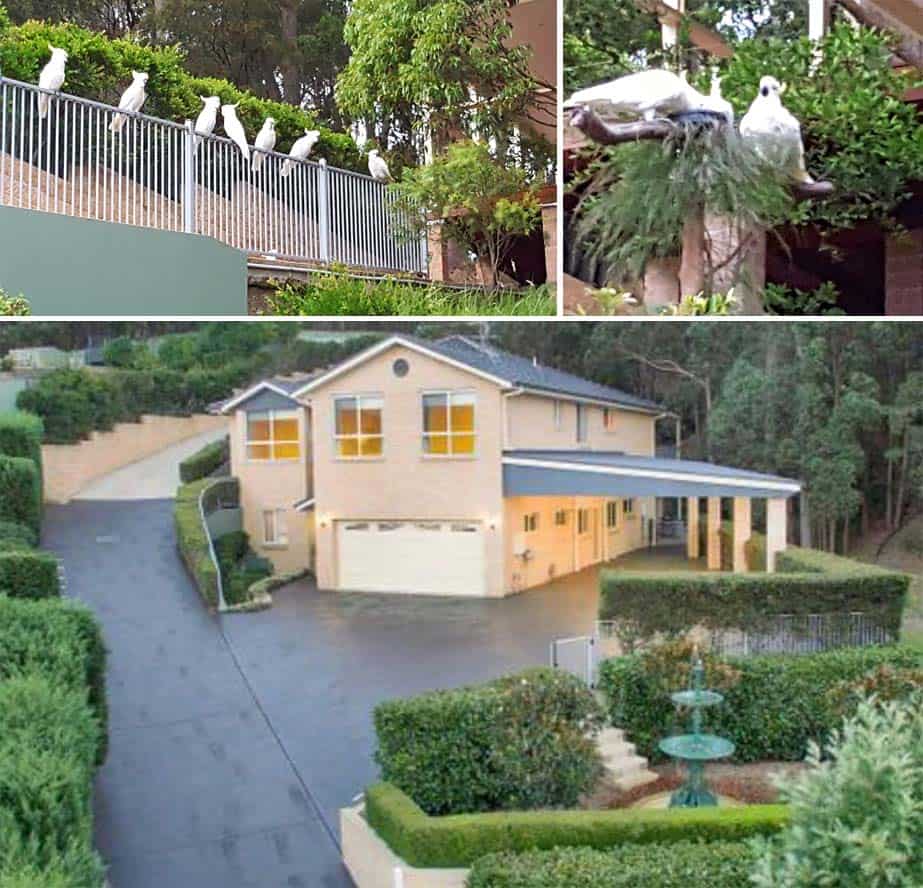 Dr Kumar And Maria’s Gorgeous First Home In The Lake Macquarie Area.
