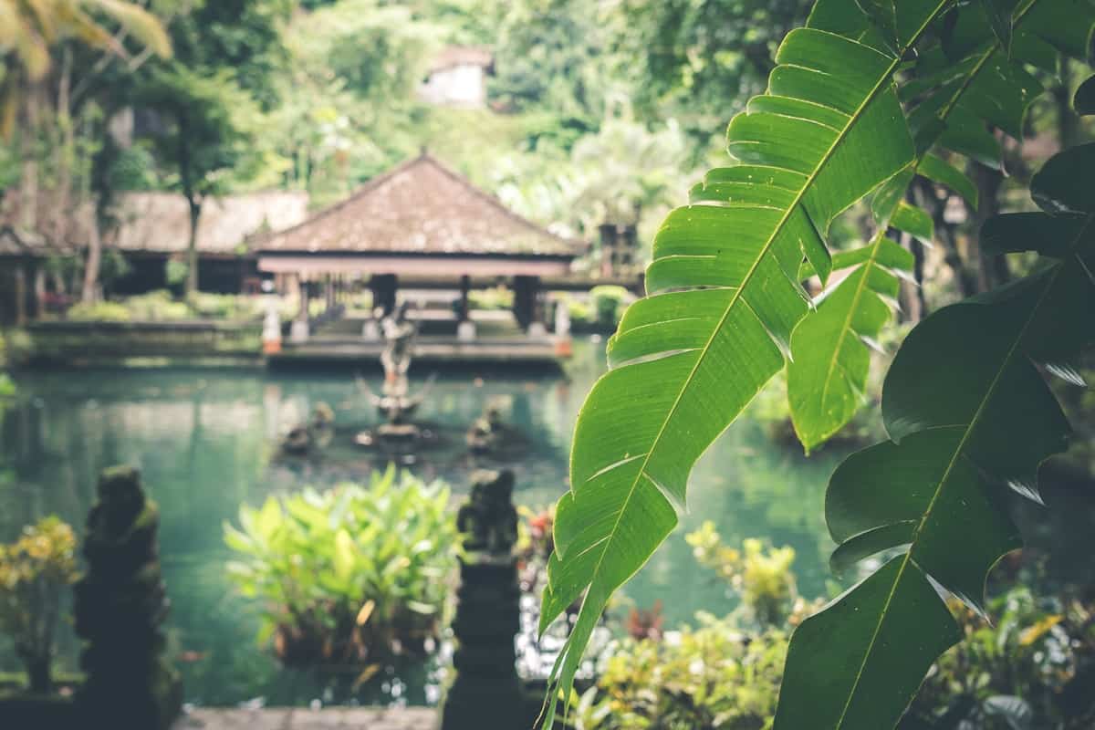 bali