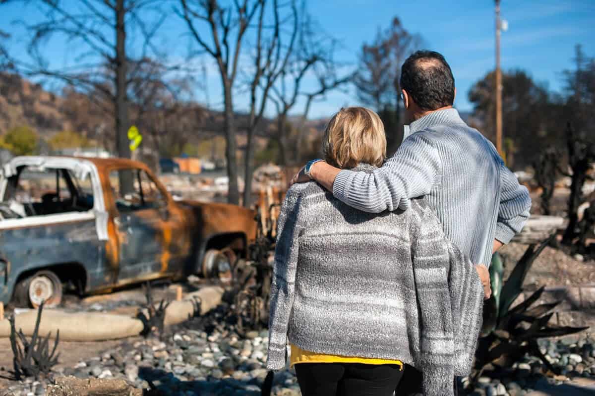 bushfire article 1