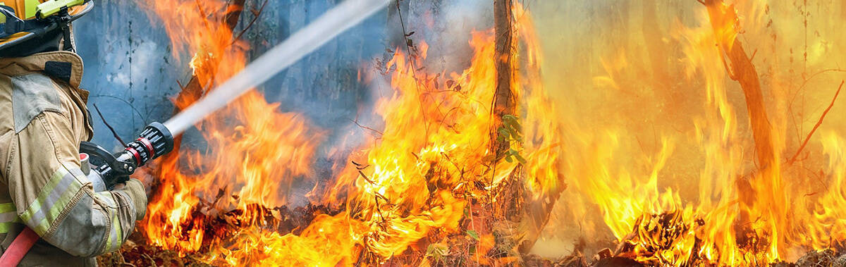 bushfire article 2
