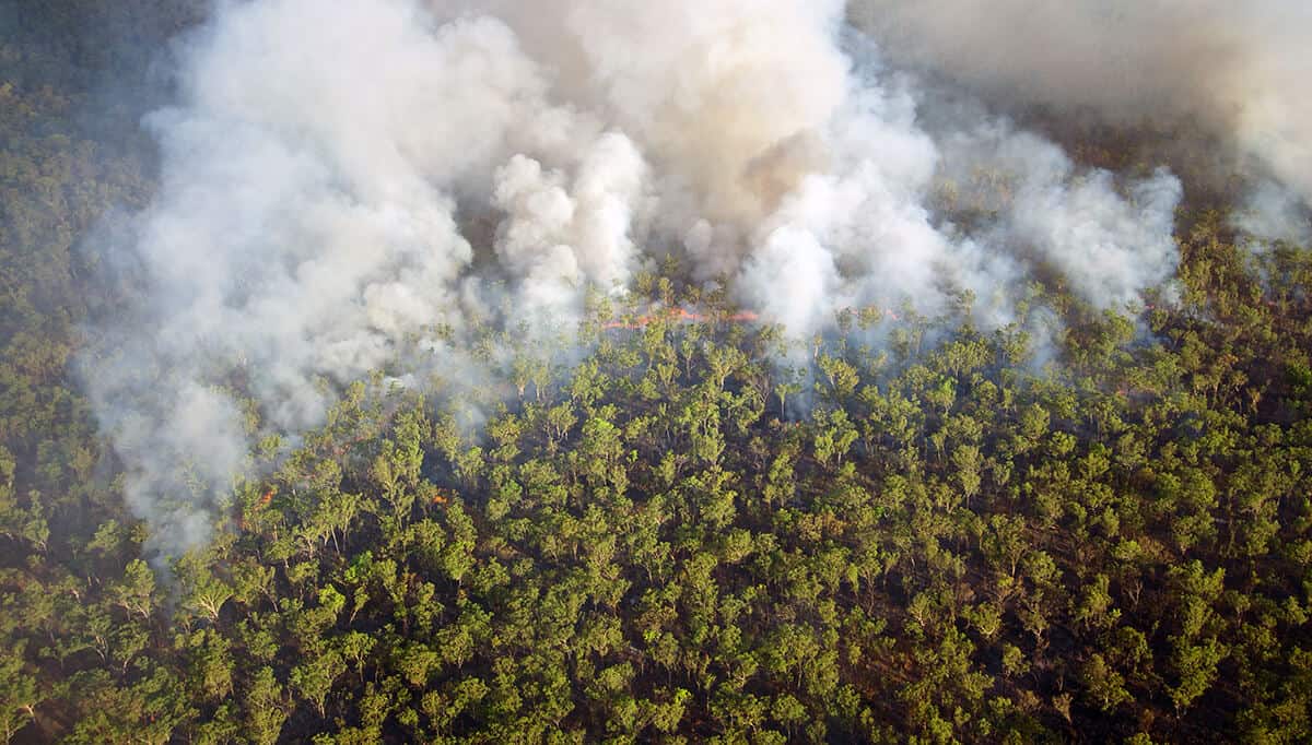 bushfires main