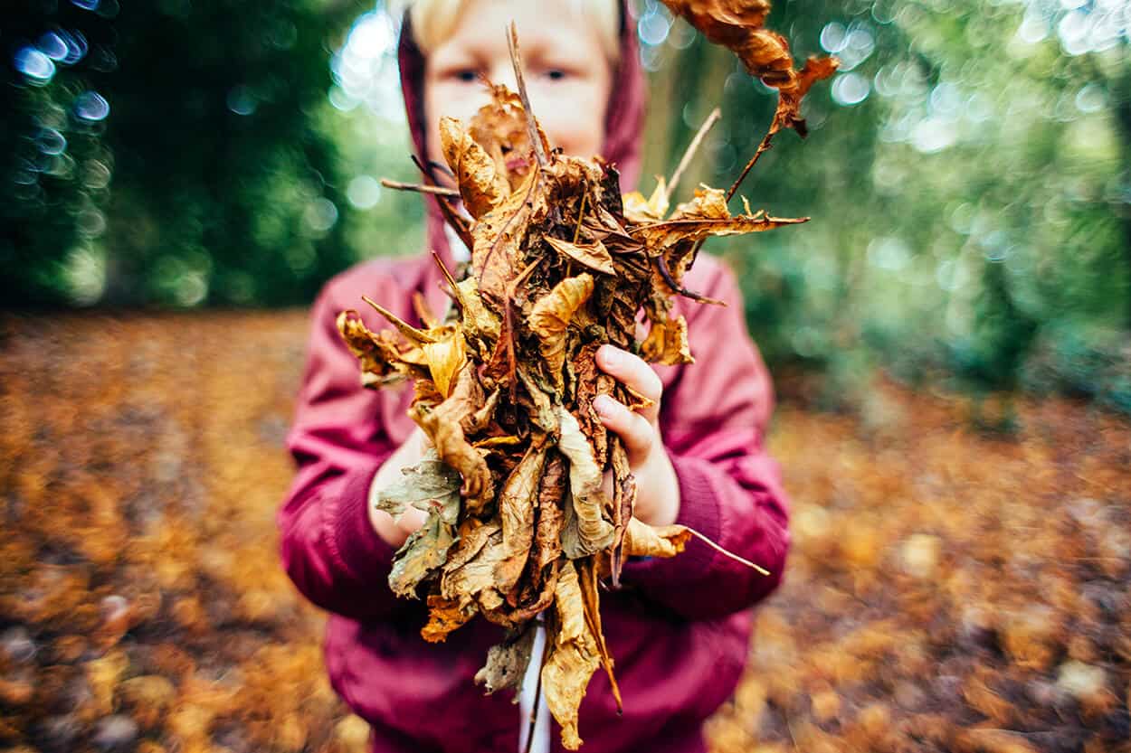 give your finances a shakeout main image