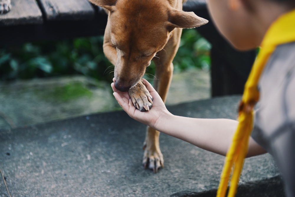 helping-hand
