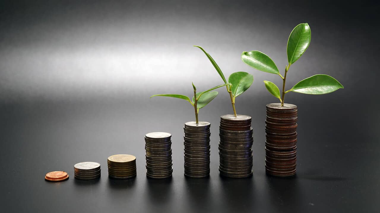 market update magic money tree main